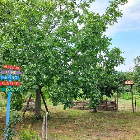 Veli Guest House • Საოჯახო Სასტუმრო Ველი Zemo Alvani Zewnętrze zdjęcie
