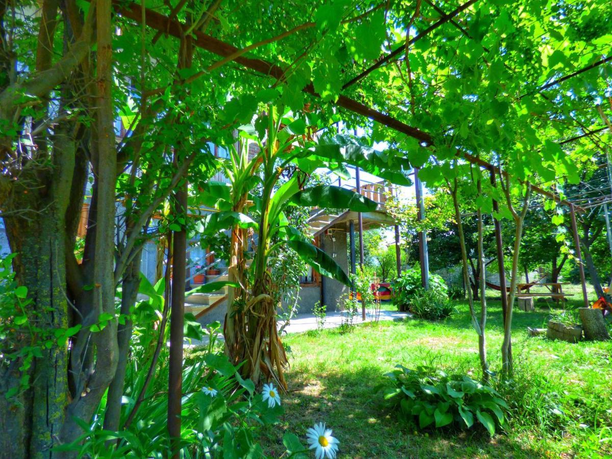Veli Guest House • Საოჯახო Სასტუმრო Ველი Zemo Alvani Zewnętrze zdjęcie