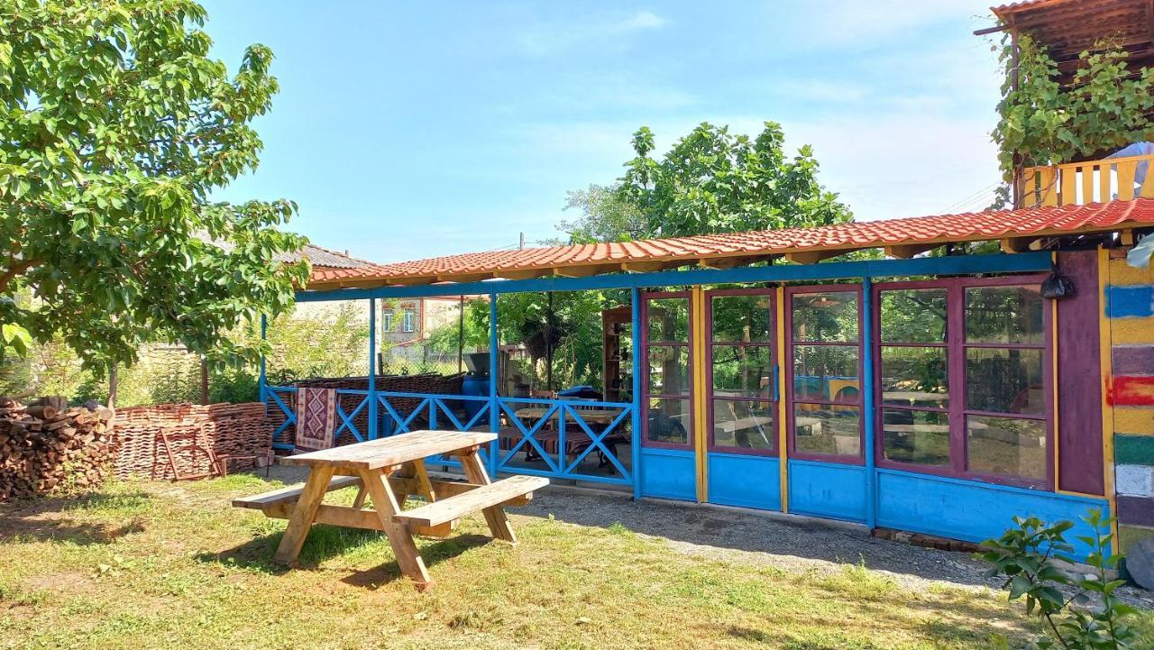 Veli Guest House • Საოჯახო Სასტუმრო Ველი Zemo Alvani Zewnętrze zdjęcie