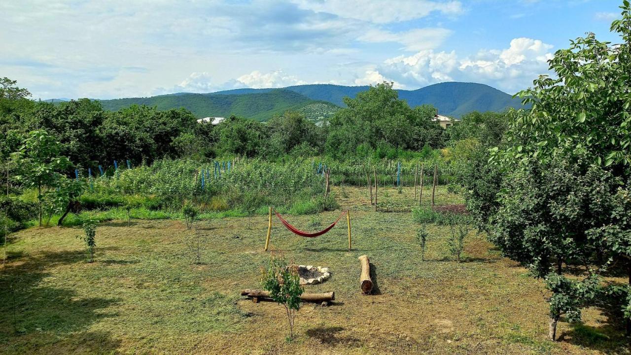 Veli Guest House • Საოჯახო Სასტუმრო Ველი Zemo Alvani Zewnętrze zdjęcie