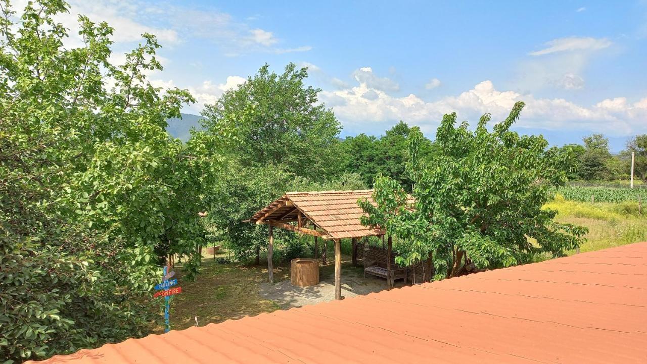 Veli Guest House • Საოჯახო Სასტუმრო Ველი Zemo Alvani Zewnętrze zdjęcie